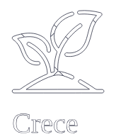 Crece
